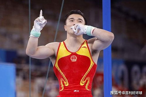 吊环之上,他是静止的王者—记奥运会体操吊环冠军的荣耀之路 吊环之上,他是静止的王者—记奥运会体操吊环冠军的荣耀之路