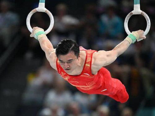 吊环之上,他是静止的王者—记奥运会体操吊环冠军的荣耀之路 吊环之上,他是静止的王者—记奥运会体操吊环冠军的荣耀之路