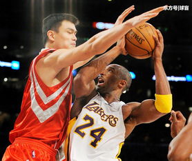 巨人落笔，姚明NBA生涯的得分密码与东方智慧