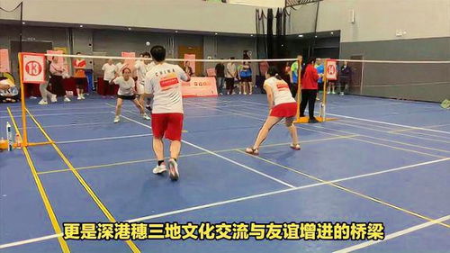 挥拍之间，上海的高度—记上海籍羽毛球世界冠军的传奇之路
