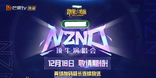 篮网阵容年薪，星光熠熠背后的金钱博弈与未来迷局