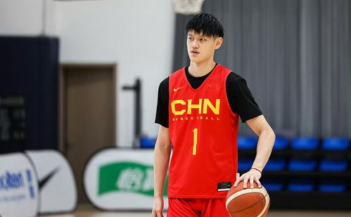 王哲林个人简历，从篮球少年到中国男篮内线支柱