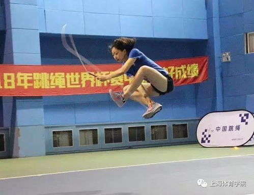 中国跳水队历届成绩，从世界冠军到梦之队的辉煌征程