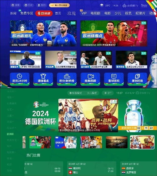 2024欧洲杯比赛时间全解析，赛程安排与观赛指南