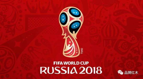 世界杯2002比分表，重温那届充满传奇与冷门的夏日盛宴