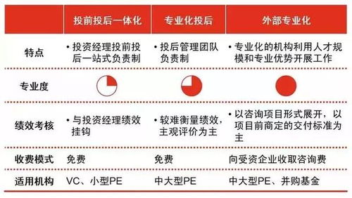 热火VS骑士大小分，数据背后的战术博弈与投注逻辑深度解析