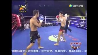 武林风2026最新一期，擂台上的热血与传承